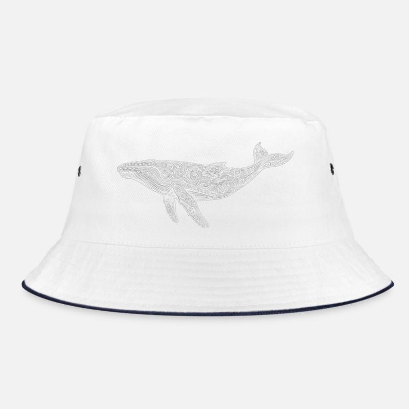 Baleine à bosse Bob