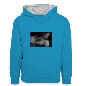 le chat au regard terrible - Sweat à capuche contrasté Enfant - bleu paon/gris chiné - Devant