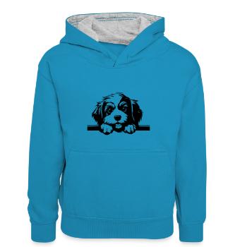Havanais - Sweat à capuche contrasté Enfant - bleu paon/gris chiné - Devant
