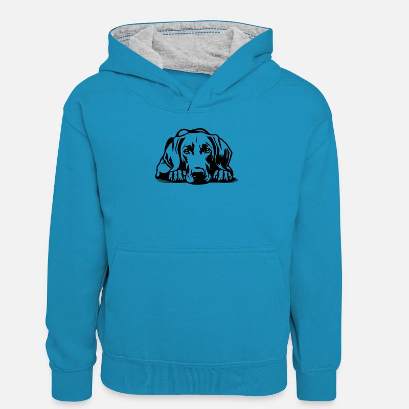 Weimaraner - Sweat à capuche contrasté Enfant - bleu paon/gris chiné