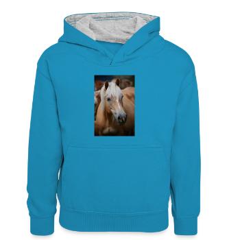 Haflinger - Kinder Kontrast-Hoodie - Pfauenblau/Grau meliert - Vorne