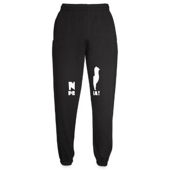 Cooles Alpaka No Prob Lama Meme Fun Spruch gift - Unisex Jogginghose - Schwarz - Vorne - AI Model Female 172 light (172cm)