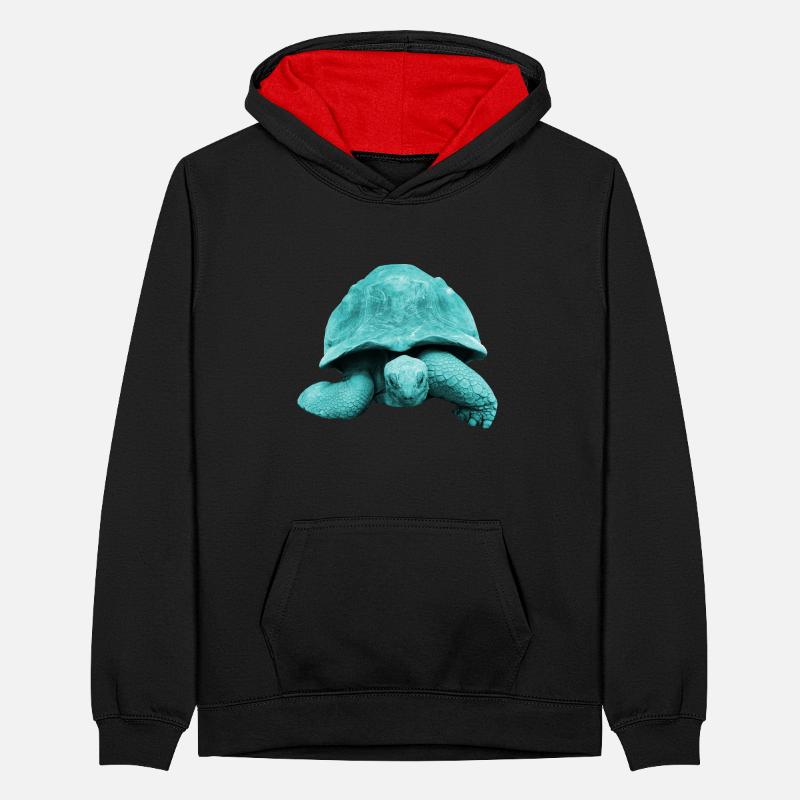 Schildpad Schildpad Teenager contrast-hoodie
