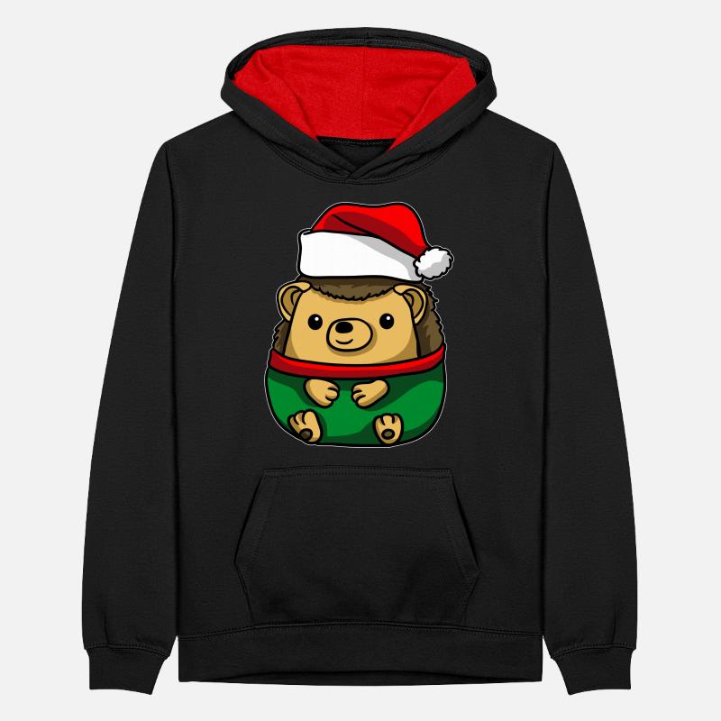 Hérisson avec pull de Noël Sweat à capuche contrasté Ado
