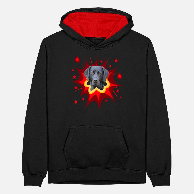 Conception de chiens comiques - Pow - Labrador Sweat à capuche contrasté Ado