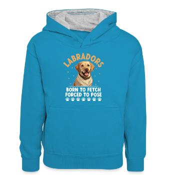 Labradors Born To Fetch Forced To Pose Labrador Re - Teenager Contrast Hoodie - peacock blue/heather grey - Front
