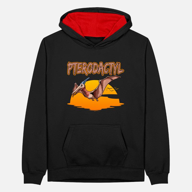 Pterodactyl Pteranodon Peteinosaurus Teenager Kontrast-Hoodie
