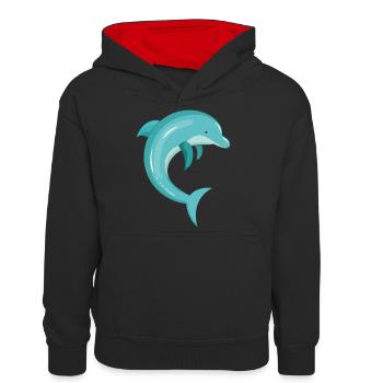 Delfin - Sweat à capuche contrasté Ado - noir/rouge - Devant