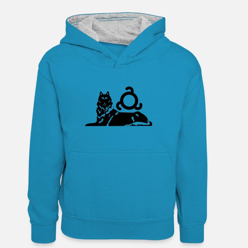 Borz Ingouche - Sweat à capuche contrasté Ado - bleu paon/gris chiné