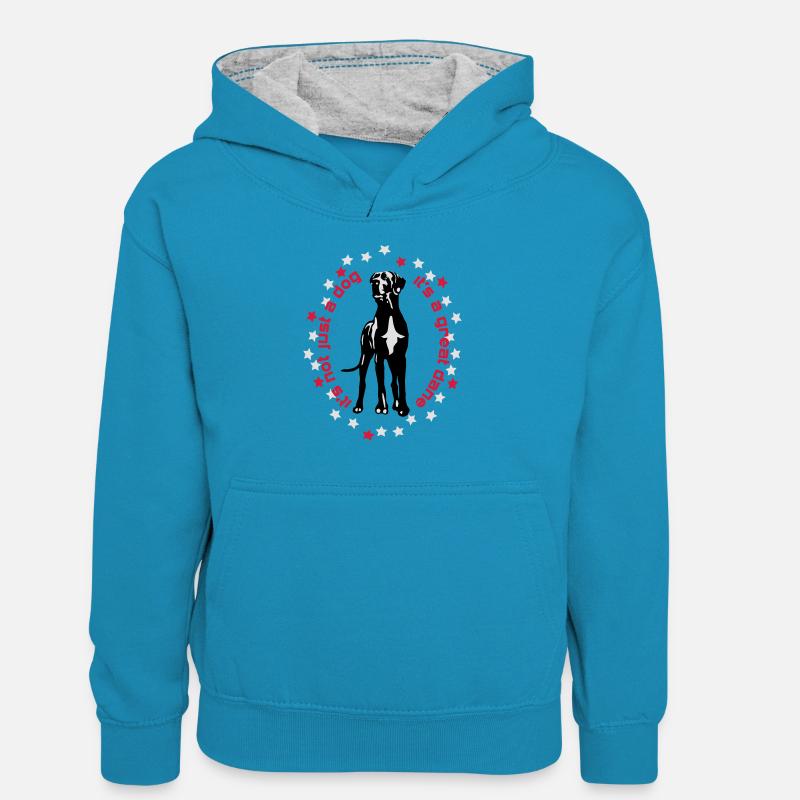 c'est un grand danois qui précède Great Dane - Sweat à capuche contrasté Ado - bleu paon/gris chiné