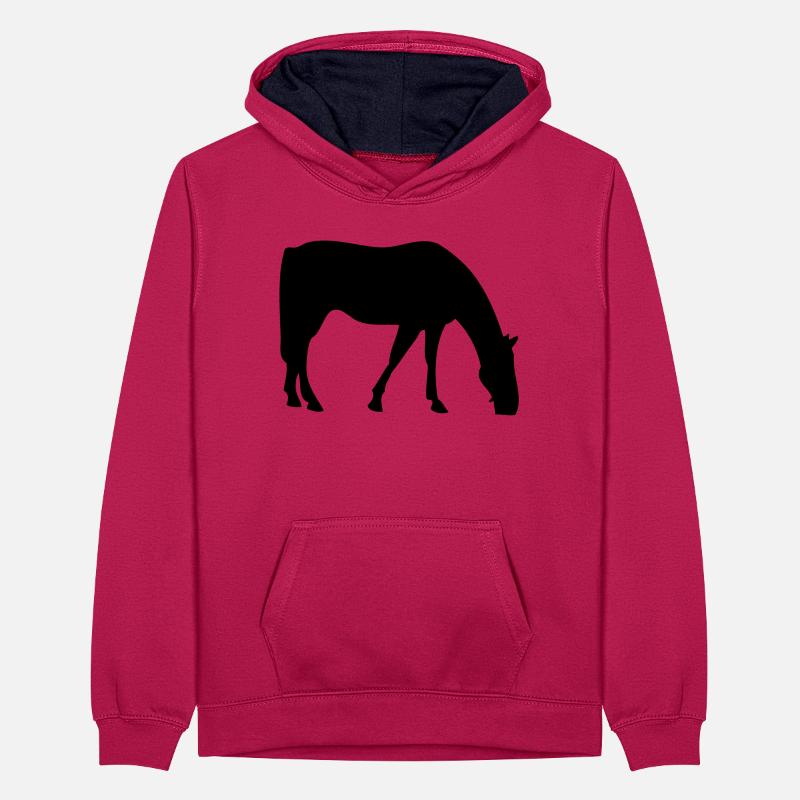 Cheval Sweat à capuche contrasté Ado