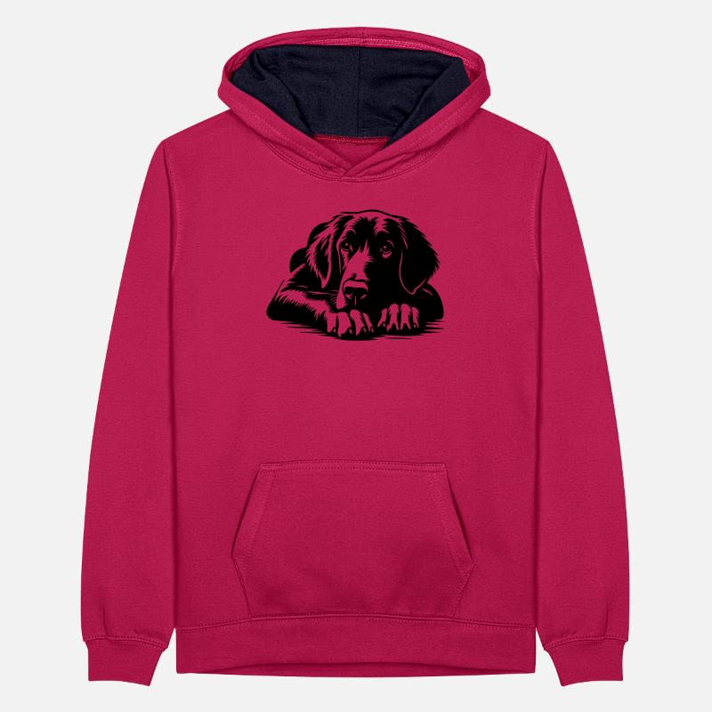 Flat-coated Retriever Teenager Contrast Hoodie