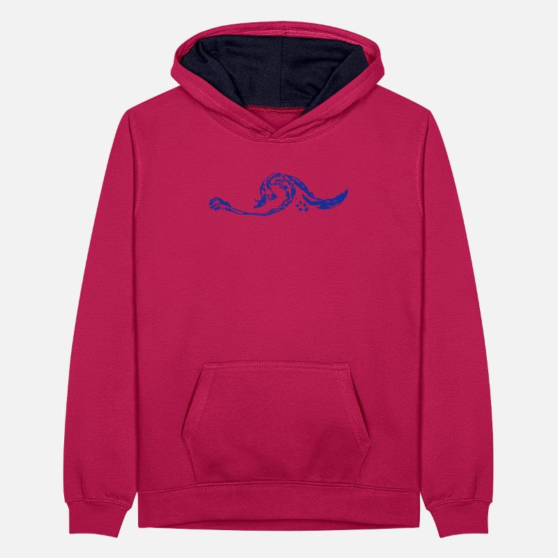 welle Sweat à capuche contrasté Ado