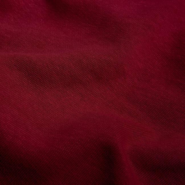 Logo offizieller Fanshop