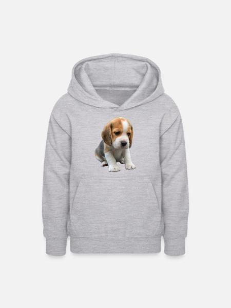 Beagle - Teenager Hoodie - Hellgrau meliert