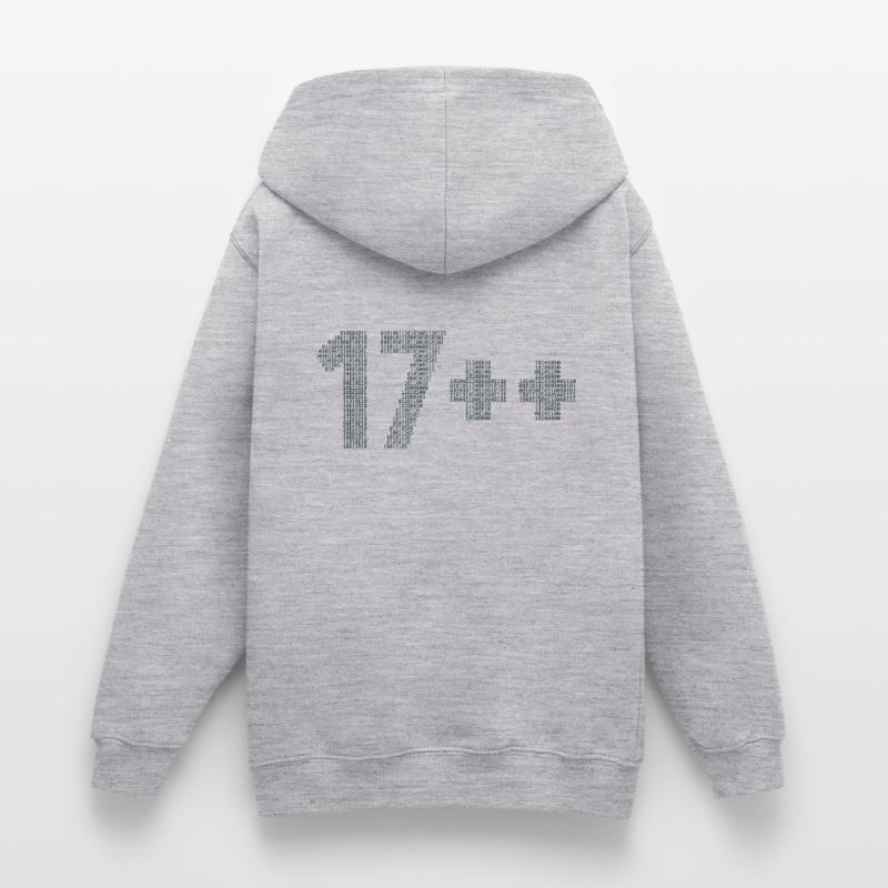 17++ Software Developer Coder Engineer 18th Teen Hoodie