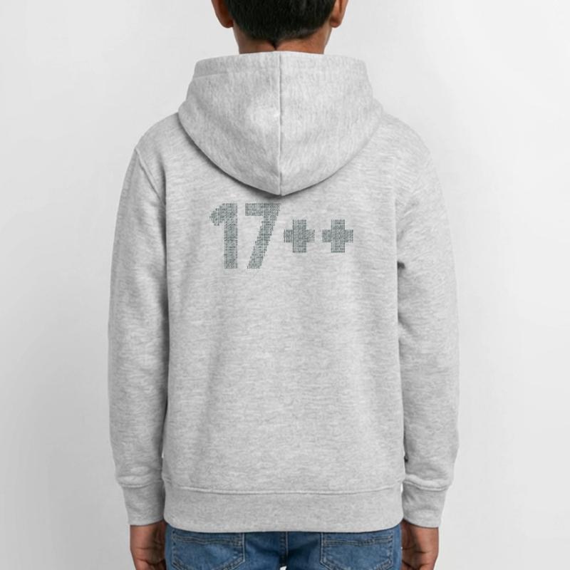 17++ Software Developer Coder Engineer 18th Teen Hoodie