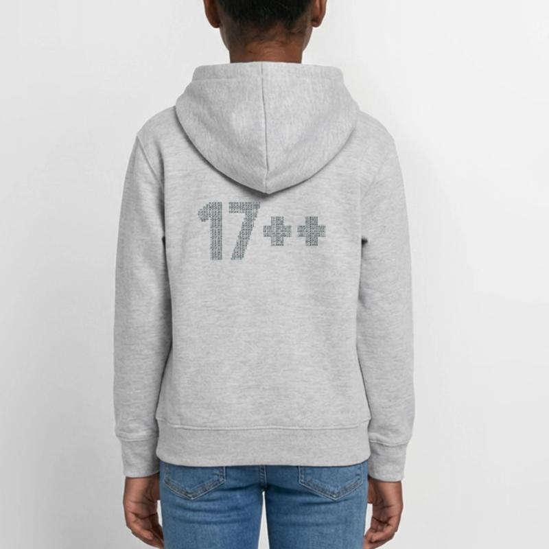 17++ Software Developer Coder Engineer 18th Teen Hoodie
