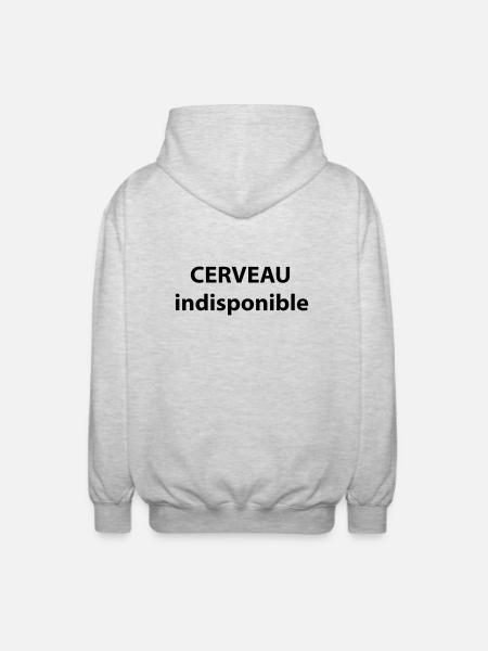 CERVEAU indisponible - Veste à capuche unisexe - gris clair chiné
