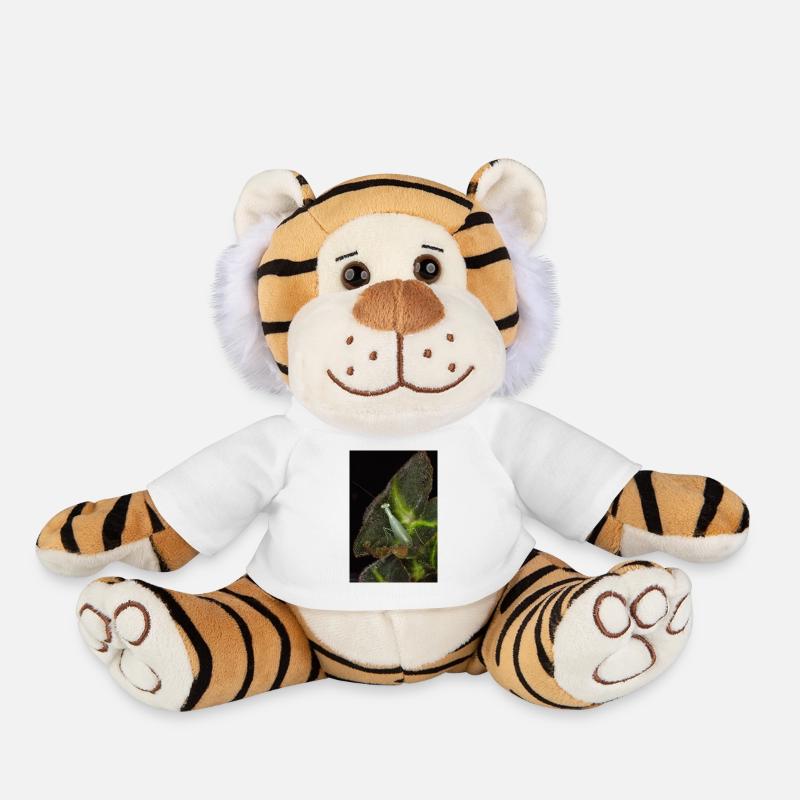 Tropidomantis cf tenue - Plüschtiger - Weiß