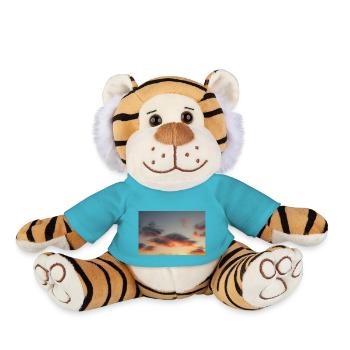 Mittlerer Feuerhimmel - Plüschtiger - Atollblau - Vorne