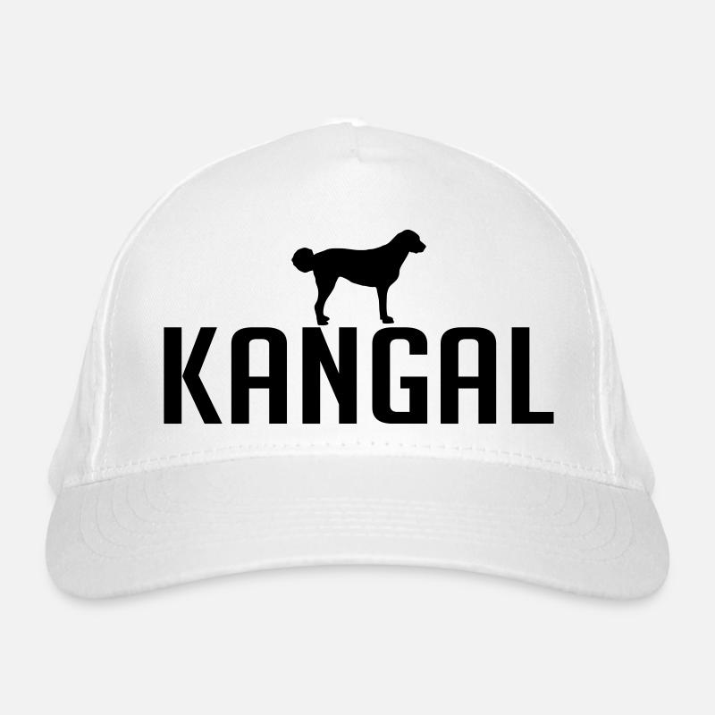 Casquette classique bio