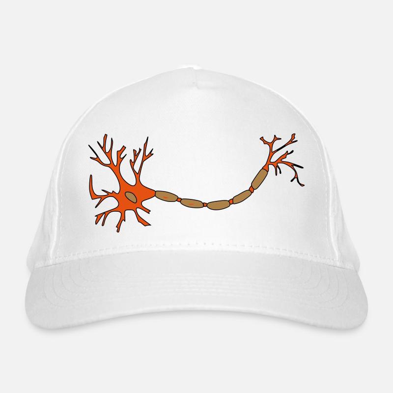 insecte Casquette classique bio