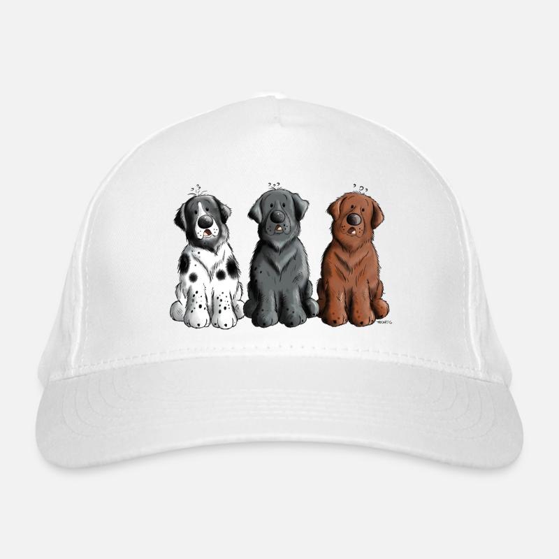 Terre-Neuve Casquette classique bio