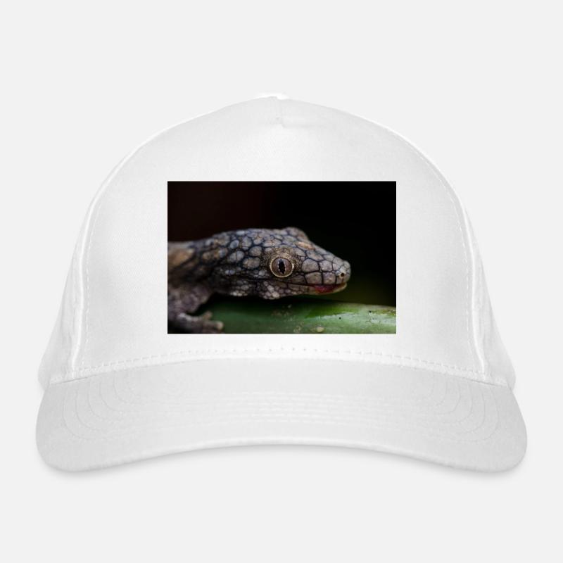 Eurydactylodes symmetricus Bio-Baseballkappe