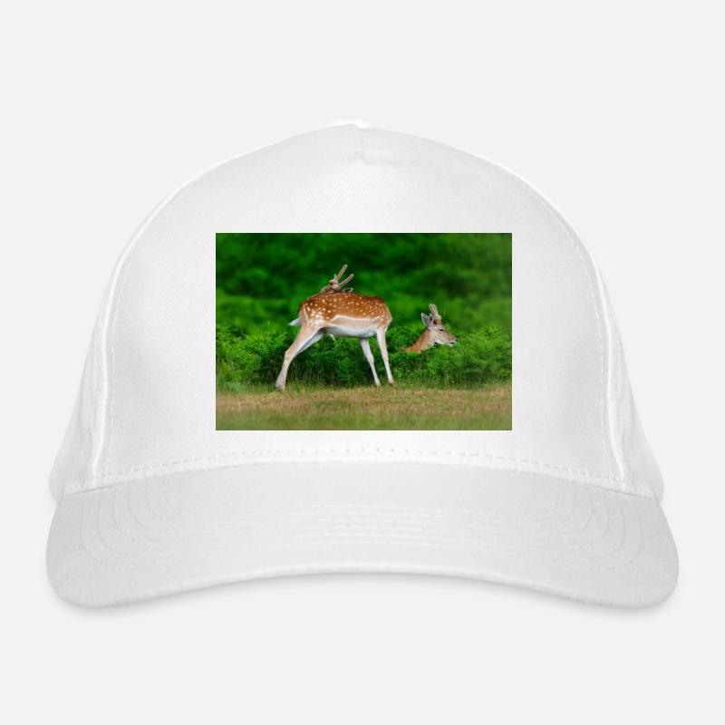 Organic Baseball Cap