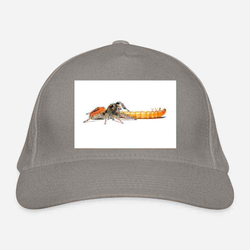 Springspinne Phidippus texanus jumping spider Organic Baseball Cap