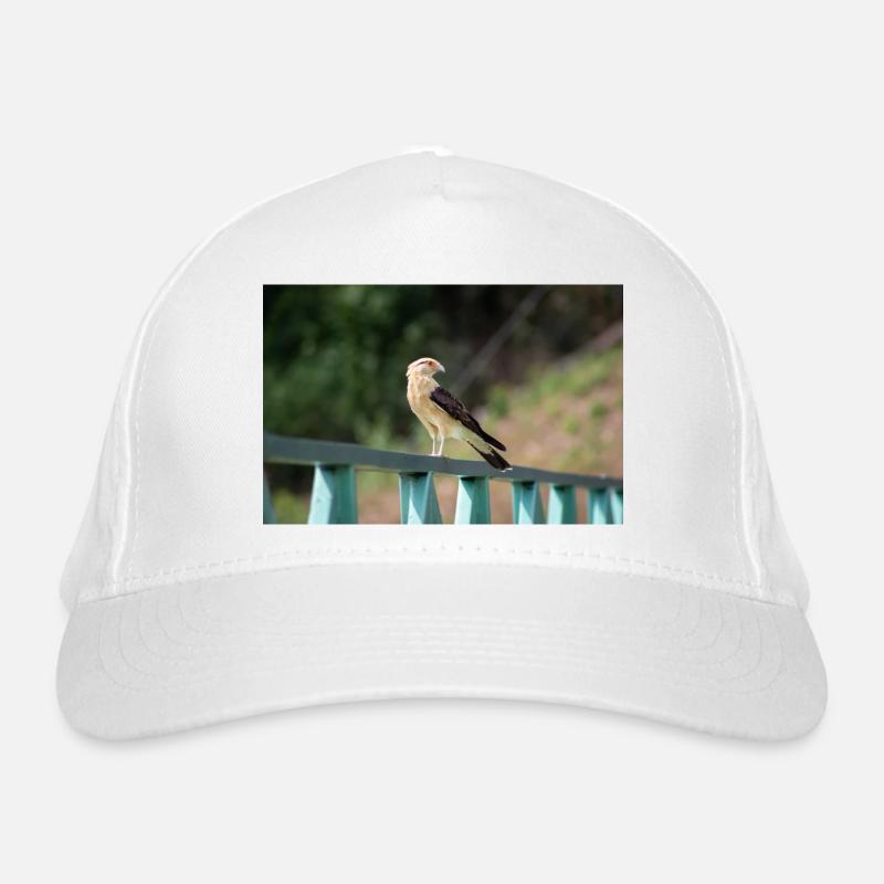Bio-Baseballkappe