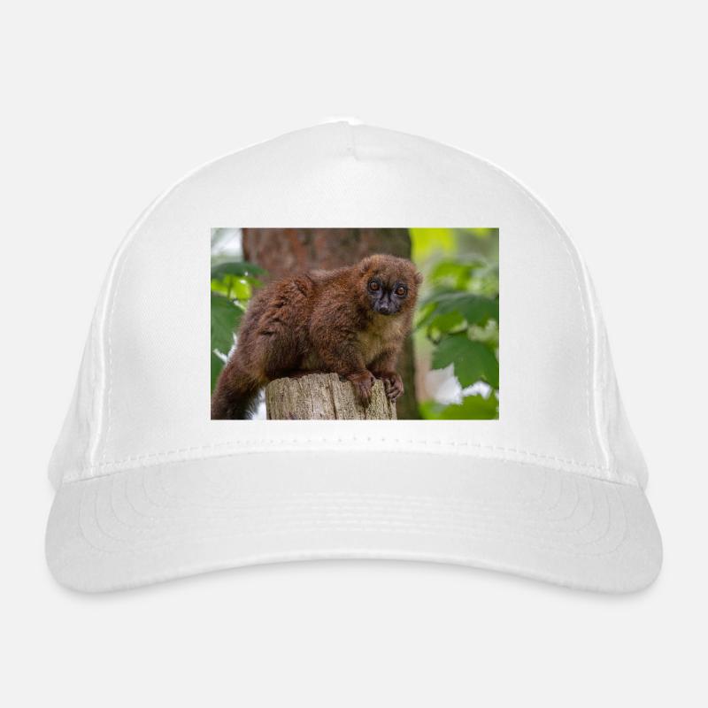 Singe Titi Rouge Casquette classique bio