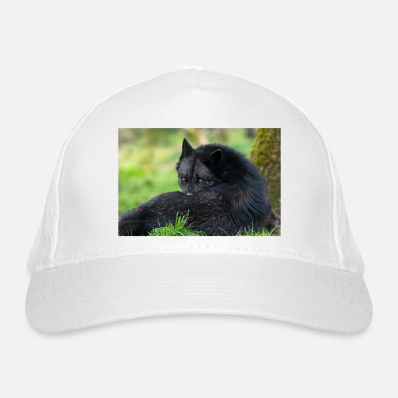 Black wolf at rest - Organic Baseball Cap - white