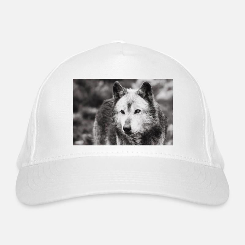 Bio-Baseballkappe