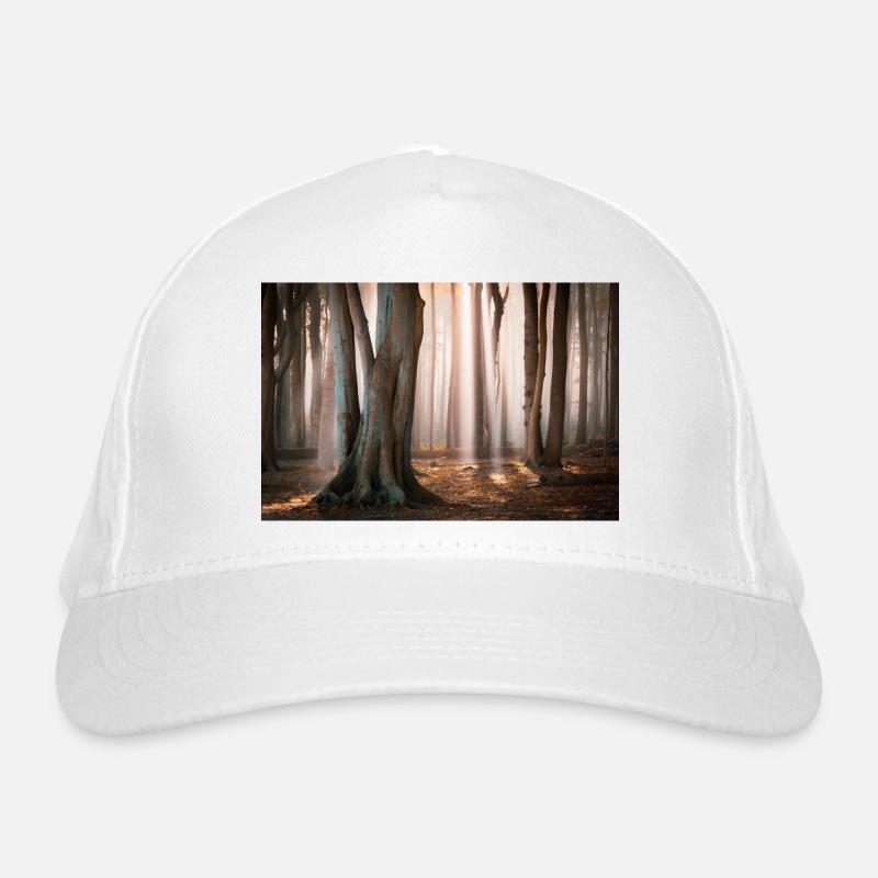 Forest light: Rays of sunshine in the cloud forest Organic Baseball Cap
