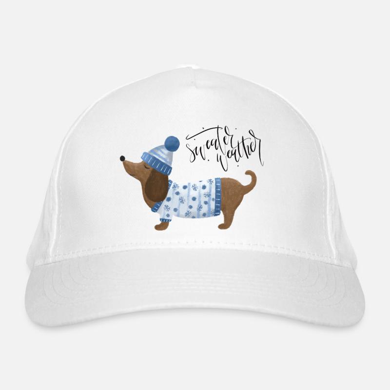 Teckel avec pull et chapeau Pull Météo bleu Casquette classique bio