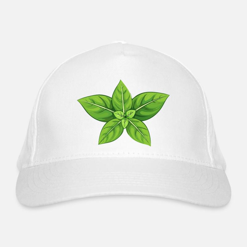 Basilic Casquette classique bio
