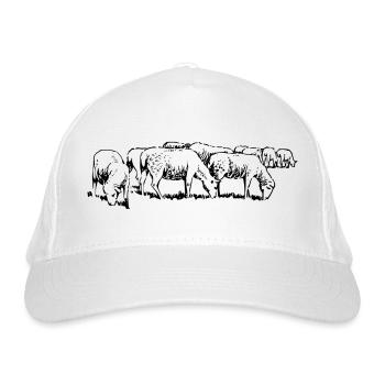 sheep25 - Bio-Baseballkappe - Weiß - Vorne