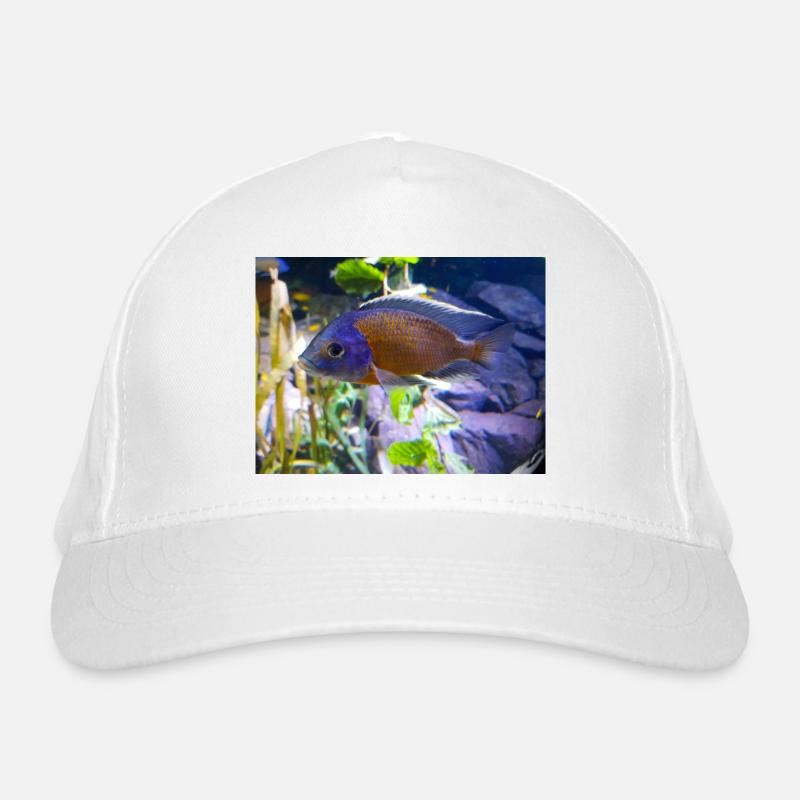 Copadichromis borleyi Buntbarsch Bio-Baseballkappe