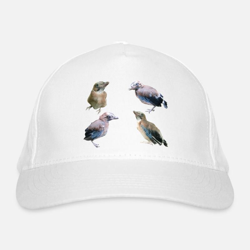 Geai des jeunes oiseaux Casquette classique bio