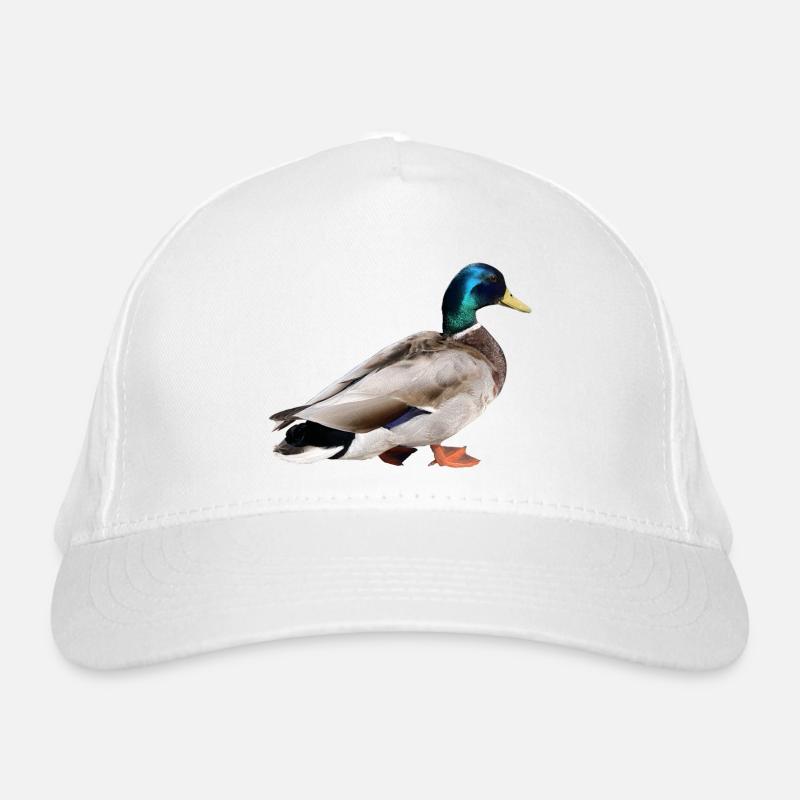 Colvert mâle Casquette classique bio