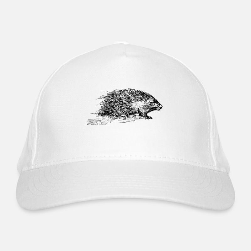 porc-épic Casquette classique bio