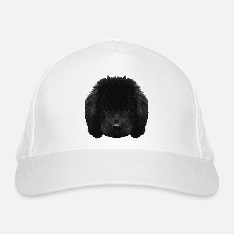 Chiot mignon, chiot Terre-Neuve, races de chiens Casquette classique bio