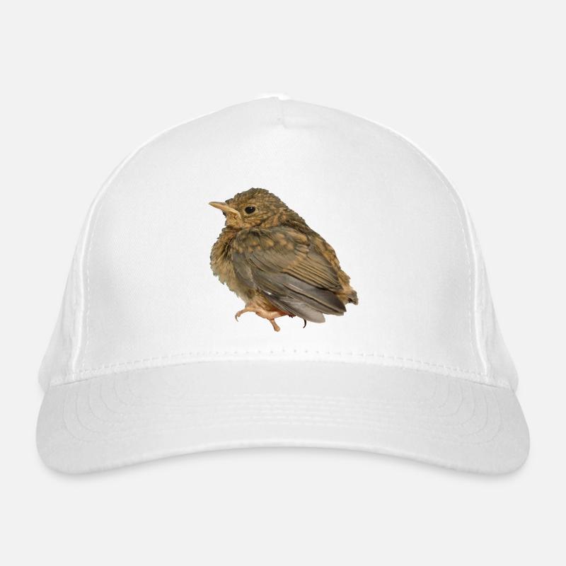 Robin Branch Organic Baseball Cap