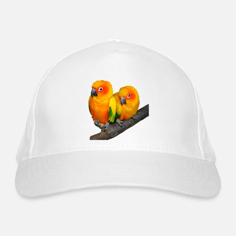 Casquette classique bio