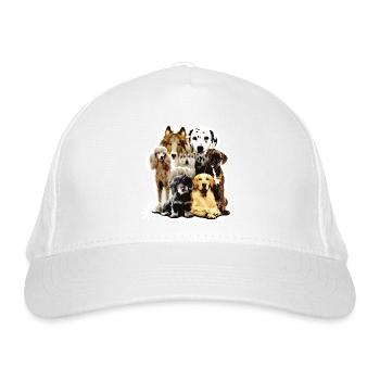 regardez un chien ! cool chien famille chien chiens - Casquette classique bio - blanc - Devant
