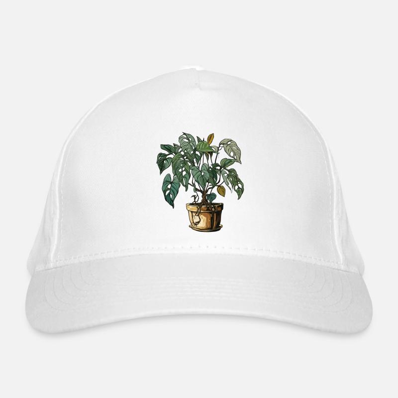 Plante d’intérieur / Plante en pot / Décoration / Pot Casquette classique bio
