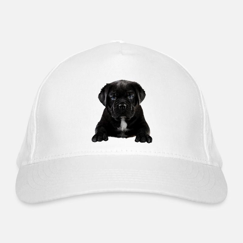Chiot Casquette classique bio