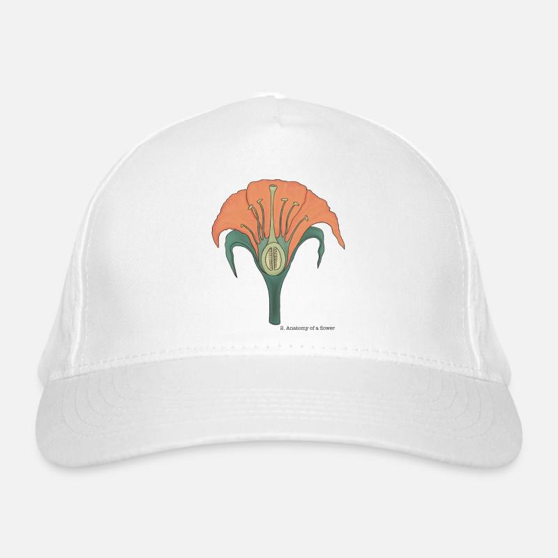L'anatomie de la fleur Casquette classique bio